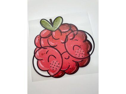 Nažehlovačka na oblečenie - Malinka s okuliarmi Š16cm x D16cm