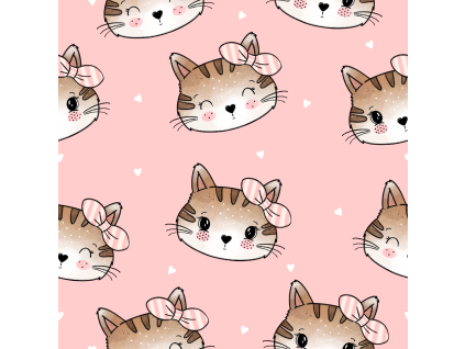 KG Katze 8