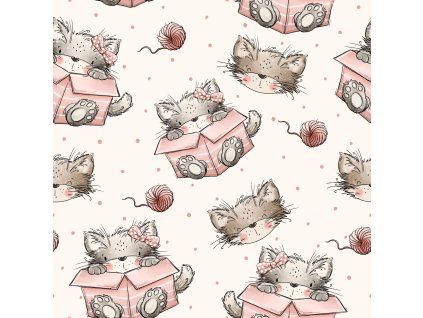 KG CatBox 3