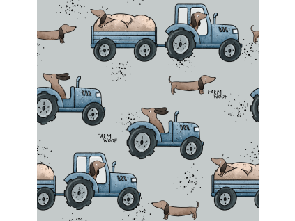 KG DackelFarm 37