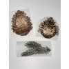 Nažehlovačka na oblečenie - Šiška s okuliarmi Š11cm x D14cm