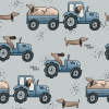 KG DackelFarm 37
